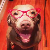 заголовки-подзаголовки-примеры